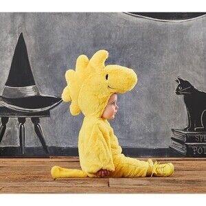 Pottery Barn Kids Yellow Dinosaur Costume